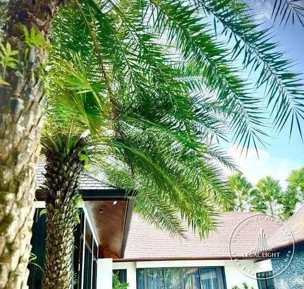 7-bedroom villa, 300 m², Май Кхао — 2